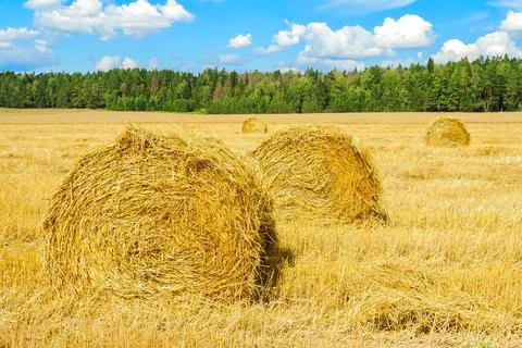 Haystack in a field Stock Photos