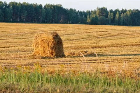 Haystack on a field in Russian countryside Stock Photos