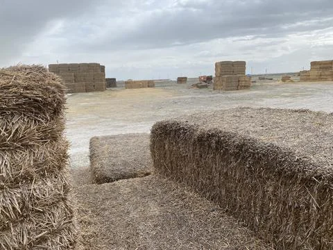 Haystack field sky Foto stock