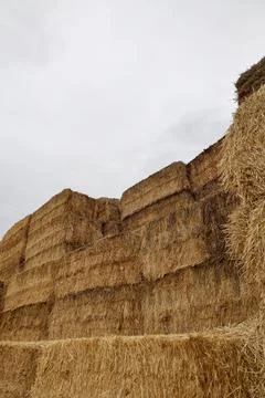 Haystack field sky Stock Photos