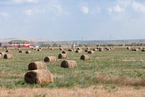 Haystack in the field, summer day Stock Photos