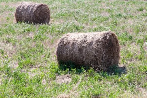 Haystack in the field , summer day Stock Photos