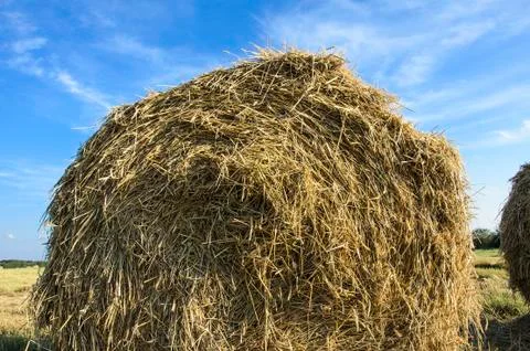 A haystack on the field in the summer Stock Photos