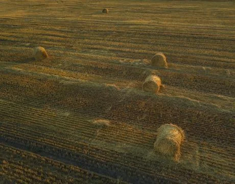 Haystack in the Field at Sunset. Aerial View Stock Photos