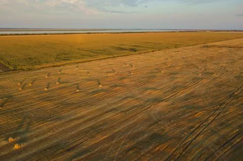 Haystack in the Field at Sunset. Aerial View Stock Photos