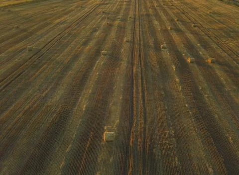 Haystack in the Field at Sunset. Aerial View Fotos de archivo