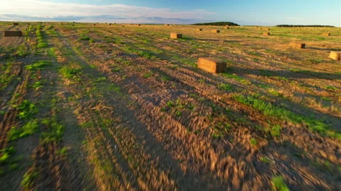 Haystack on field on sunset. Hay bale from residues grass. Hay stack Vidéo 219821513