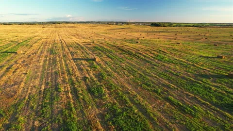 Haystack on field on sunset. Hay bale from residues grass. Hay stack Stock Footage 219821517