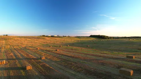 Haystack on field on sunset. Hay bale from residues grass. Hay stack Stockbeeldmateriaal 219821553