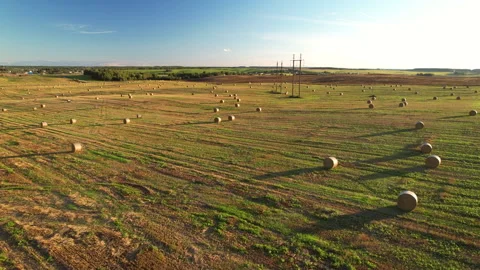 Haystack on field on sunset. Hay bale from residues grass. Hay stack 스톡 동영상 219821562