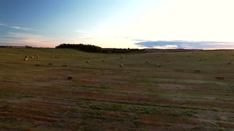 Haystack on field on sunset. Hay bale from residues grass. Hay stack Vidéo 219821590