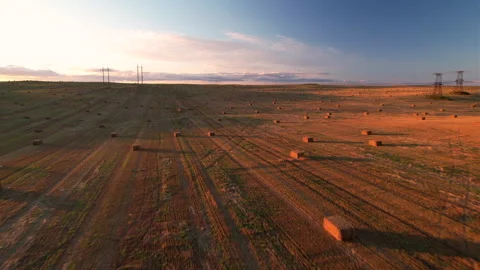 Haystack on field on sunset. Hay bale from residues grass. Hay stack Stock-Footage 219822354