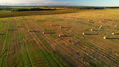 Haystack on field on sunset. Hay bale from residues grass. Hay stack Stock Footage 219822381