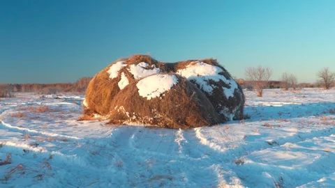 A haystack in a field in winter. Animal feed, hay, straw. Rural area. Stock Footage 301547591