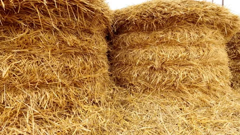 Haystack with flags on top of it. Stock Footage 153969325
