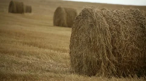 Haystack Stock Footage 11853142
