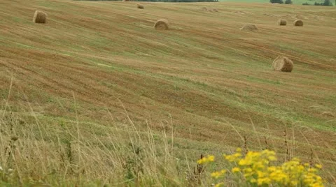 Haystack Stock Footage 11855213
