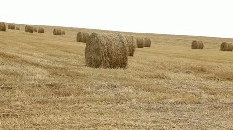 Haystack Stock Footage 11858917