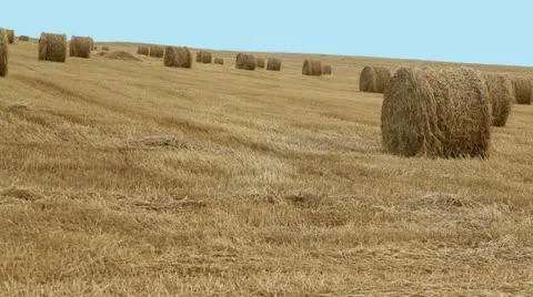 Haystack Stock Footage 11859253
