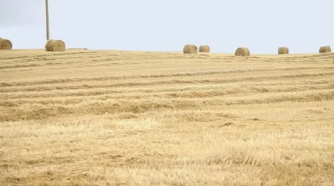 Haystack 스톡 동영상 11859331