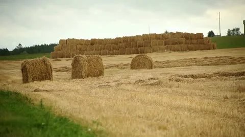 Haystack Stock Footage 11859566