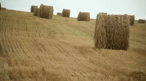 Haystack Stock Footage 11860563