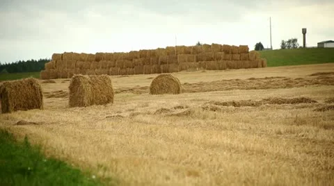 Haystack Stock Footage 11860959