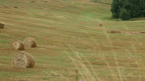 Haystack Stock Footage 11863615