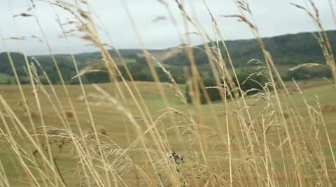 Haystack Stock Footage 11863670