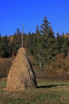 Haystack in glade after reap. Warm sunny autumn day Stock Photos