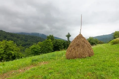 Haystack on the grassy hillside Stock Photos