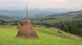 Haystack on green field HD Footage