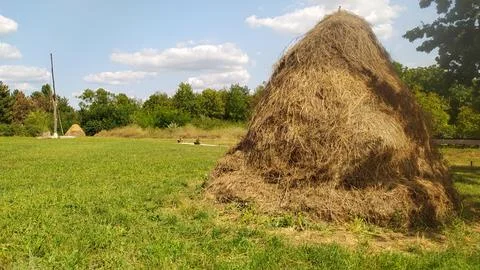 A haystack in a green field under a clear blue sky, radiating tranquility and Stockfoto's