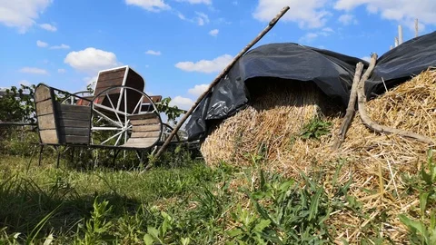 Haystack on the green grass. The wind sways the grass creating a pleasant feelin Stock Footage 115353048