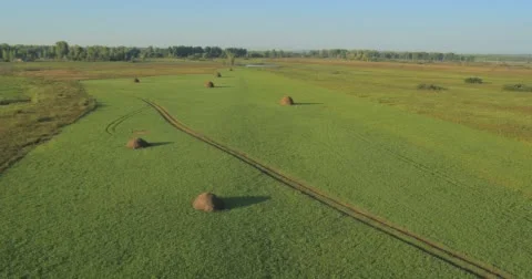 Haystack on green meadow. Stock Footage 63305314