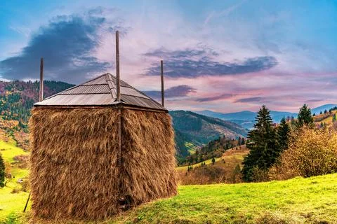 Haystack in a green meadow in not very good weather Foto stock