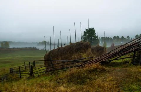 Haystack at green wet meadow Stock Photos
