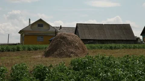 Haystack in a kitchen garden Stock Footage 11252103