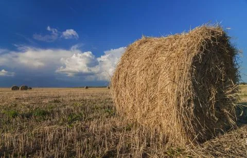 Haystack on the meadow Stock Photos