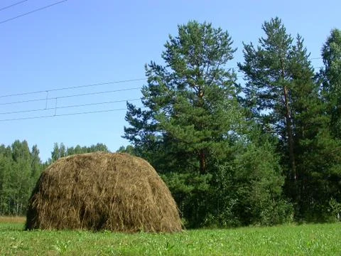Haystack in the meadow Stock Photos