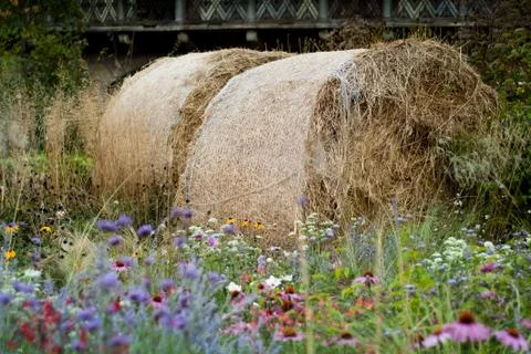 Haystack in Meadow Stock Photos