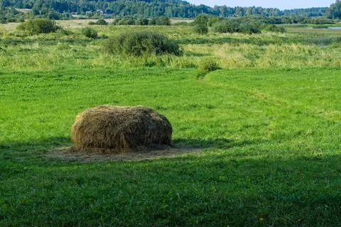 Haystack in the meadow. Stock Photos
