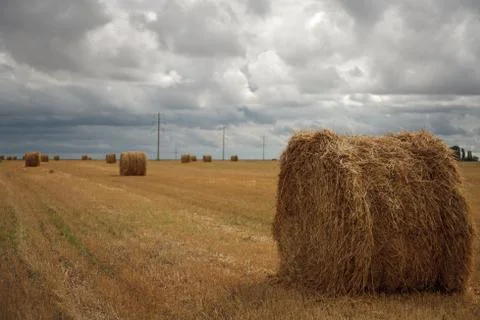 Haystack in the middle of the field Stock Photos