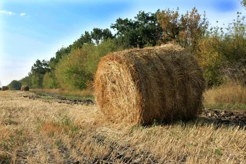 Haystack near field border Stock-Fotos