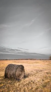 A haystack in an open field Stock Photos
