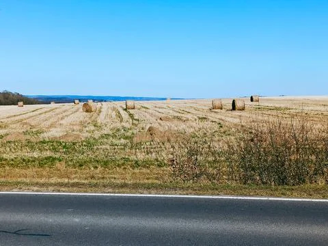 Haystack or hay straw. Mowed dry grass hay in stack on farm field Foto stock