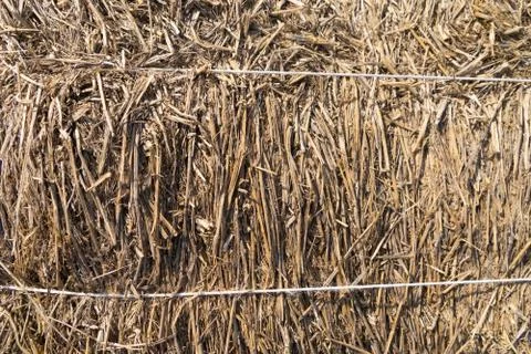 Haystack or natural dry hay straw in grain field in farm. Pattern texture bac Stock Photos