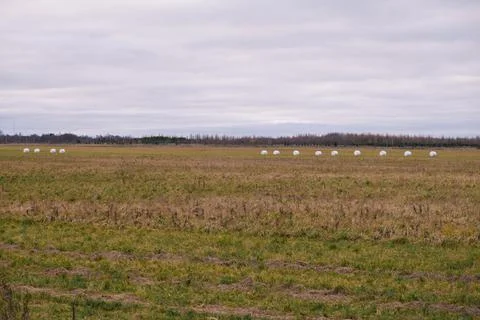 A haystack packed for winter in the field Stock Photos