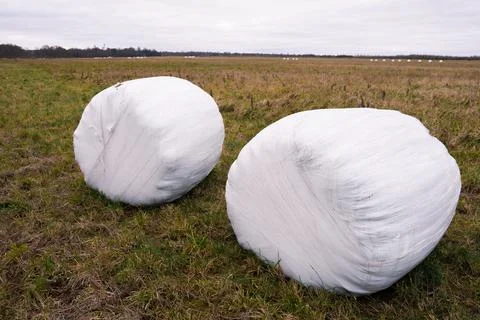 A haystack packed for winter in the field Stock Photos