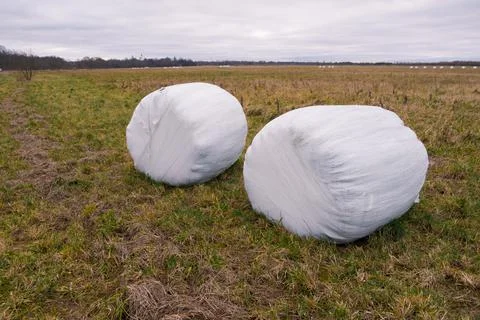 A haystack packed for winter in the field Stock Photos